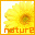 Nature union